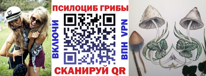Псилоцибиновые грибы ЛСД  где купить наркотик  Нововоронеж 